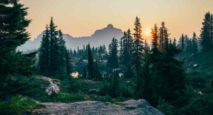 Te traemos los bosques nacionales más bonitos para que visites este otoño