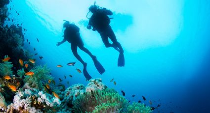 Buceo: estos son los mejores lugares en España para ir a bucear