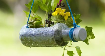 Cómo empezar a reciclar en casa de manera rápida y sencilla junto a los más pequeños