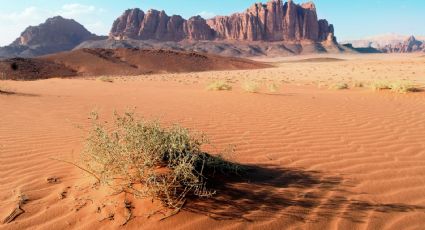 Experiencia "Get lost": el viaje impredecible para realizar durante las vacaciones de 2022