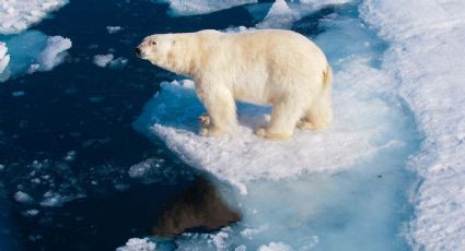 Conferencia sobre el clima de Glasgow: todo lo que tenéis que saber sobre la COP26