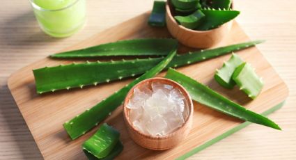 Beneficios del aloe vera que no conocías y que deberías aplicar a tu rutina de belleza