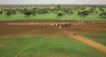 La Gran Muralla Verde del Sahel: el proyecto que intentará salvar el desierto