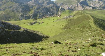 "Guardianes de la biosfera", el proyecto para cuidar de los espacios naturales de España