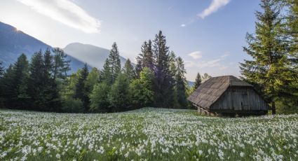 La casa de Belmonte y otros lugares llenos de inspiración para escritores