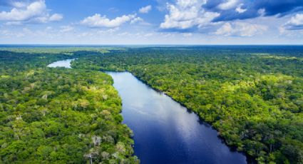 "El escarabajo verde", el 'magazine' ideal para los cuidadores del ambiente