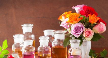 Los mejores aromas y esencias naturales para darse un baño