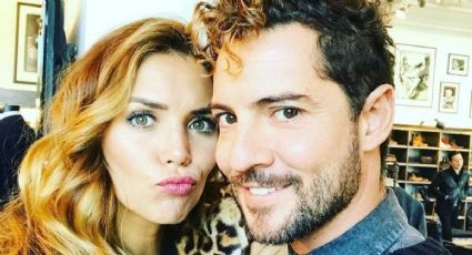 David Bisbal y Rosanna Zanetti confirman que los rumores son ciertos