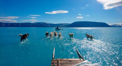 Cambio climático: Groenlandia continúa derritiéndose