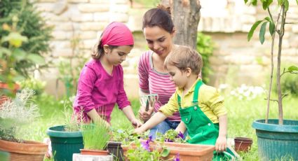 Jardinería para niños: las mejores plantas para que comiencen su jardín