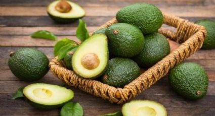 Conoce los increíbles beneficios que tiene el aguacate para tu salud