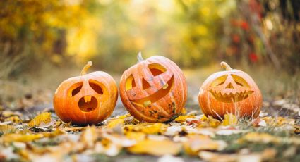 Comidas ideales y recetas de Halloween para sorprender a los más pequeños