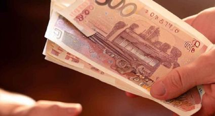 Descubre qué podéis hacer con tus billetes rotos