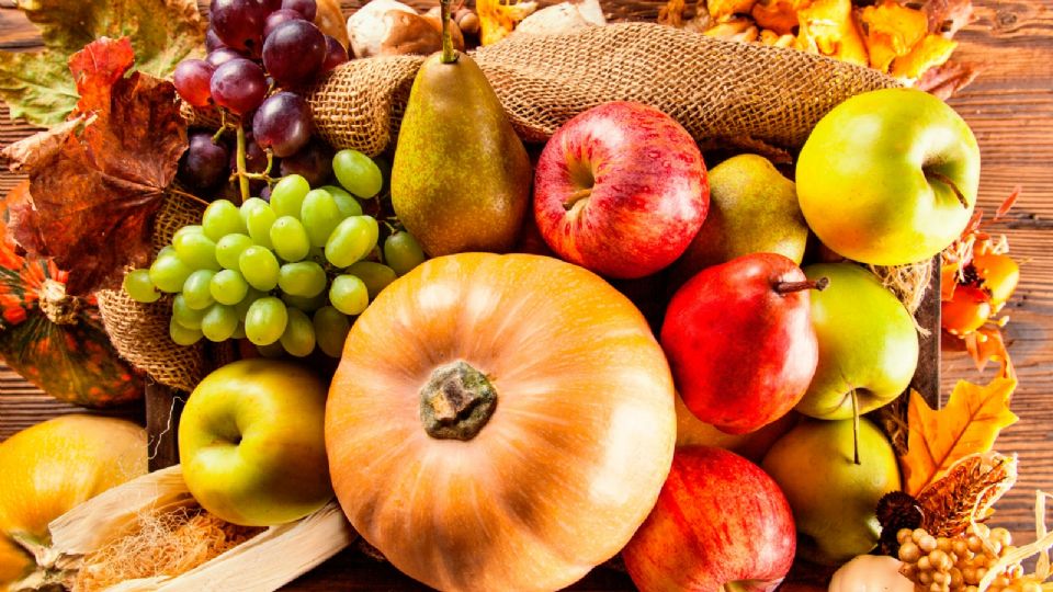 Alimentos. Fuente: (Google).