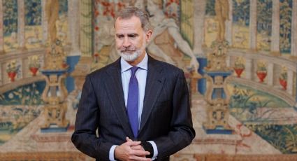 Se destapó el dato del rey Felipe VI que más sorprende a todos