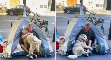 La historia de Bruno y Sora: el husky que ayudó a un hombre a salir de la calle