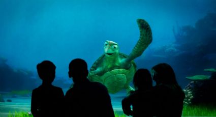 Crush, la tortuga de Nemo es la atracción de Disney del momento