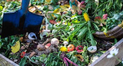 Cómo hacer compost en casa de manera rápida y fácil