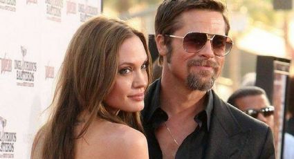 Brad Pitt y Angelina Jolie de nuevo en la mira a causa de su viñedo