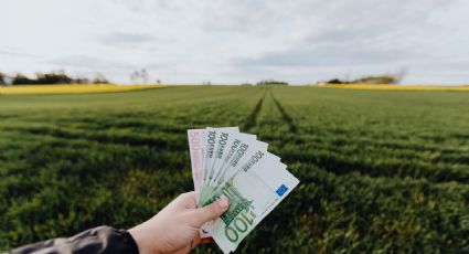 Presta atención a este viejo billete de pesetas porque puedes ganar cientos de euros