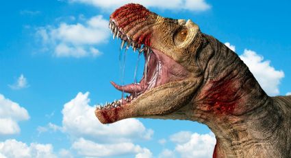 Descubren restos de dinosaurios en un parque de Estados Unidos