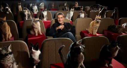 El día en que Antonio Banderas invitó gatos a ver su película