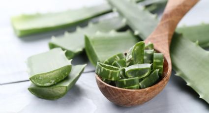 Suma el aloe vera en tu alimentación por estos 3 beneficios