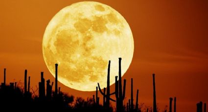 La última superluna de cosecha del año está llegando