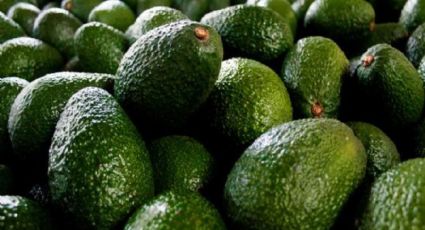 3 beneficios del aguacate que no conocías y que tiene un gran impacto positivo en nuestra salud