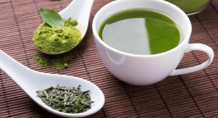 Té verde: propiedades, beneficios y cómo impacta en tu salud