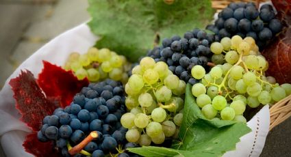 3 beneficios de las uvas que tienen un gran impacto positivo en la salud y que seguro no conocías