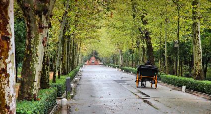 Viajes turísticos: este pueblo de España ganó un récord Guinness y debes visitarlo sí o sí