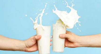 Revelan los secretos beneficiosos de la leche en contra de la vejez