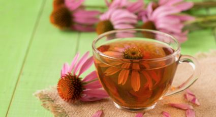 Las flores que pueden generar un té rico en magnesio