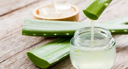 ¿Por qué debes utilizar aloe vera en tu rostro?