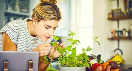 El motivo secreto de porque debemos lavar los pies con orégano y para qué sirve