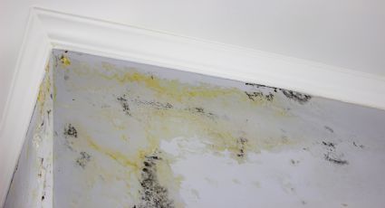 Cómo arreglar una pared con humedad y con trucos sencillos