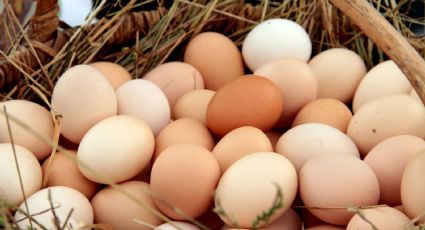 Esta es la manera clave de comer huevos para ganar masa muscular y perder peso en 7 días