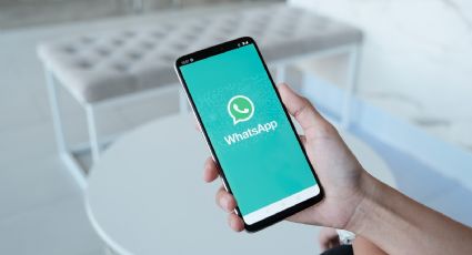 WhatsApp modifica para siempre las videollamadas: conoce porque puede cambiar el futuro del empleo