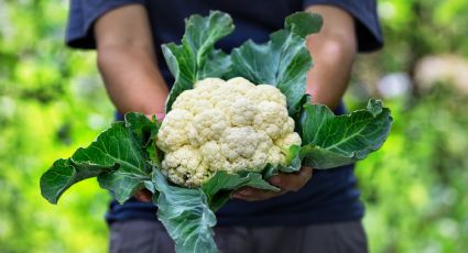 3 motivos por los que debes comer coliflor que te dejarán pensando toda la noche