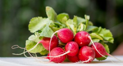 Estos son los motivos por los que deberías incorporar rabanitos a tu dieta diaria