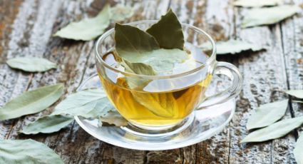 3 beneficios ocultos del té de hojas de laurel que te dejarán pensando toda la noche