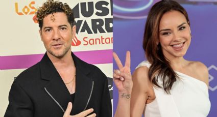 Se destapa una verdad absoluta sobre Chenoa y David Bisbal que sacude a toda España