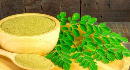 Moringa: el superalimento que hará más fuerte nuestros huesos y dientes