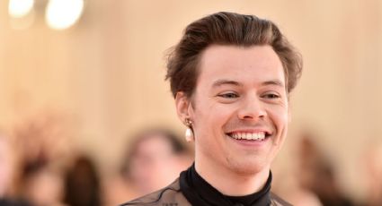 Harry Styles respira: la particular historia con una fanática que irá a prisión por algo inesperado