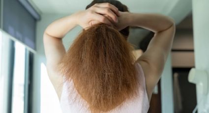 Descubre los mejores secretos naturales para tratar el cabello seco