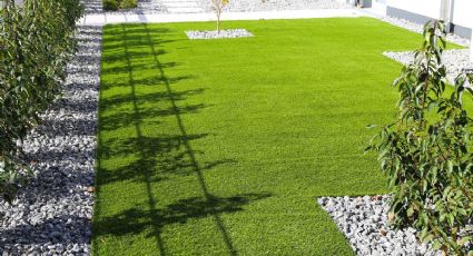 El truco secreto de los jardineros para que el césped crezca más sano y bonito