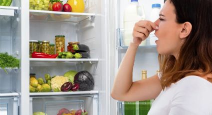 Descubre cómo limpiar tu refrigerador de forma natural: 4 opciones que te encantarán