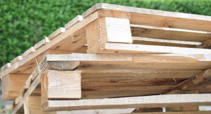 Una manualidad simple y creativa: convierte tus pallets de madera en hermosos jardines verticales