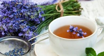 Cómo preparar el té de lavanda para calmar los nervios y dormir mejor: todos sus beneficios